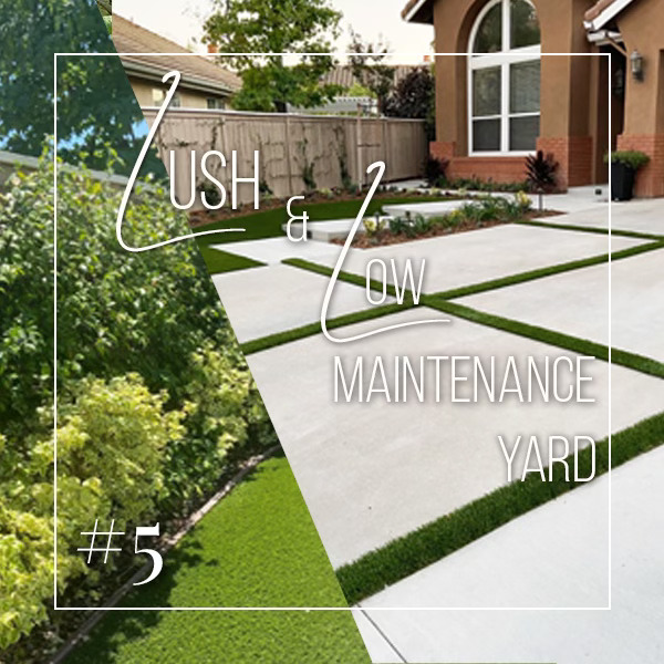 Creating a Lush and Low-Maintenance Yard