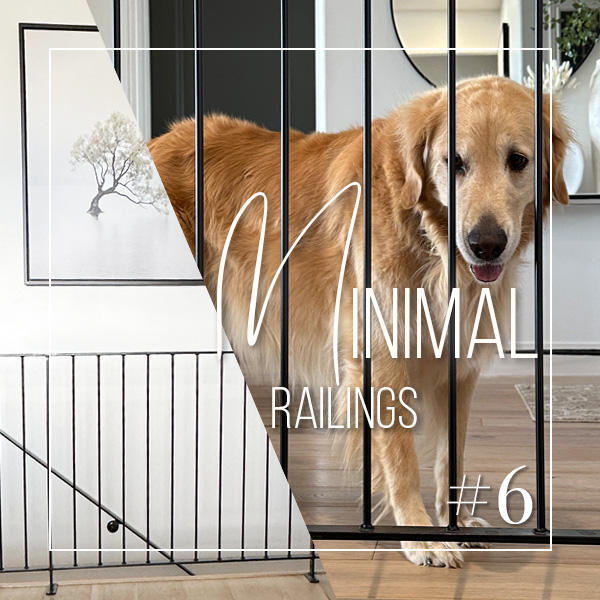 Adding Minimalistic Iron Railings
