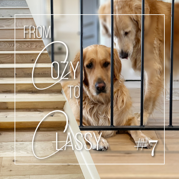 From Cozy to Classy