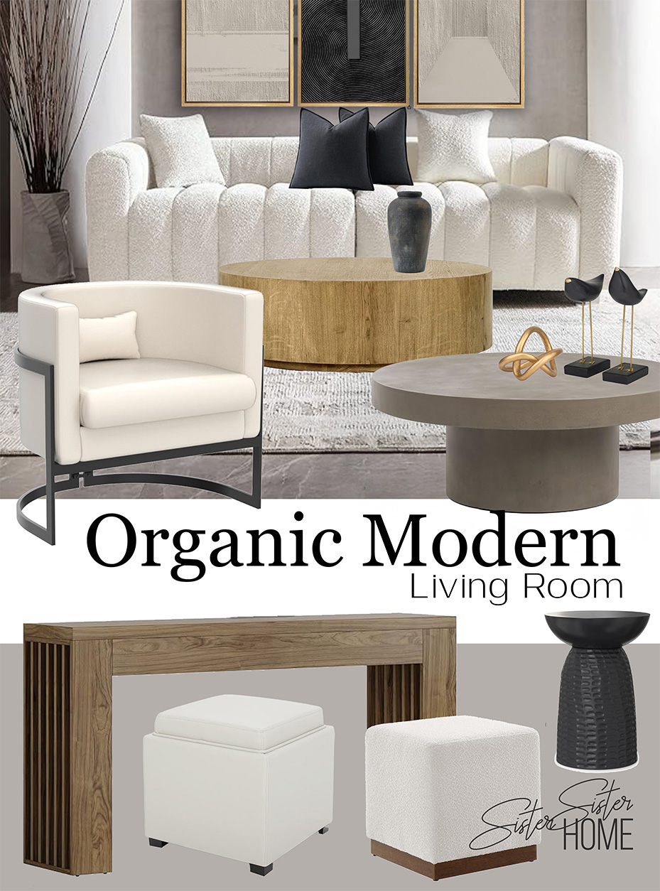 Organic Modern Living Room