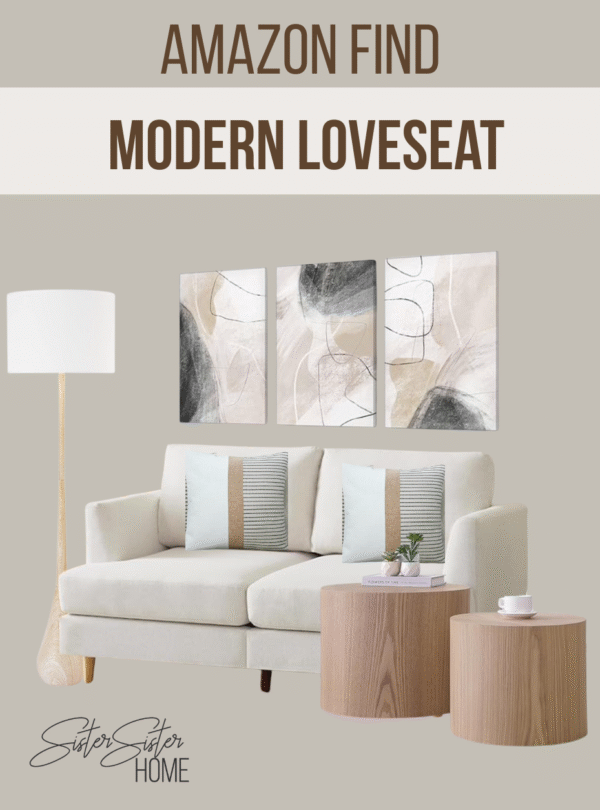 Amazon:  Modern Loveseat