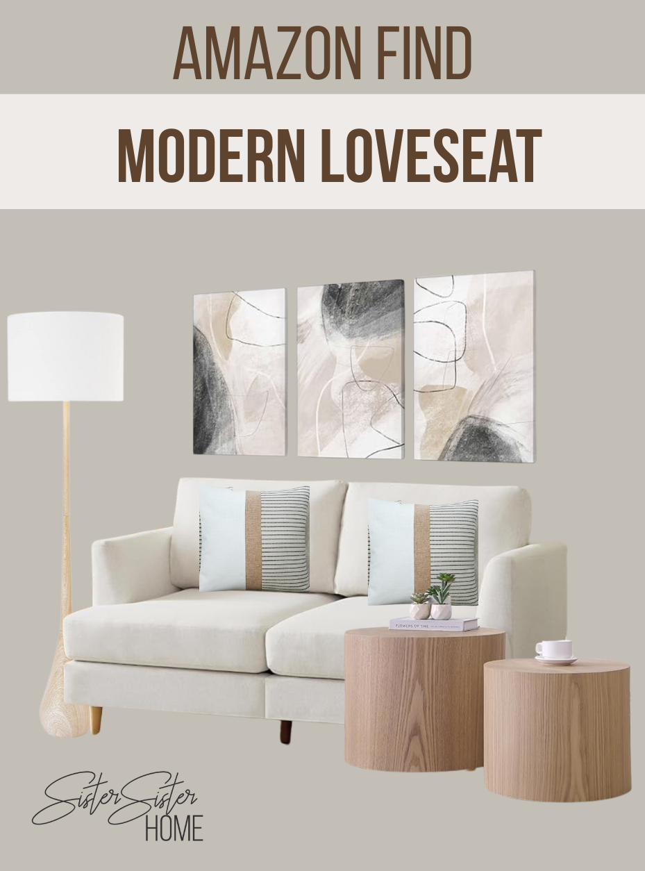 Amazon:  Modern Loveseat