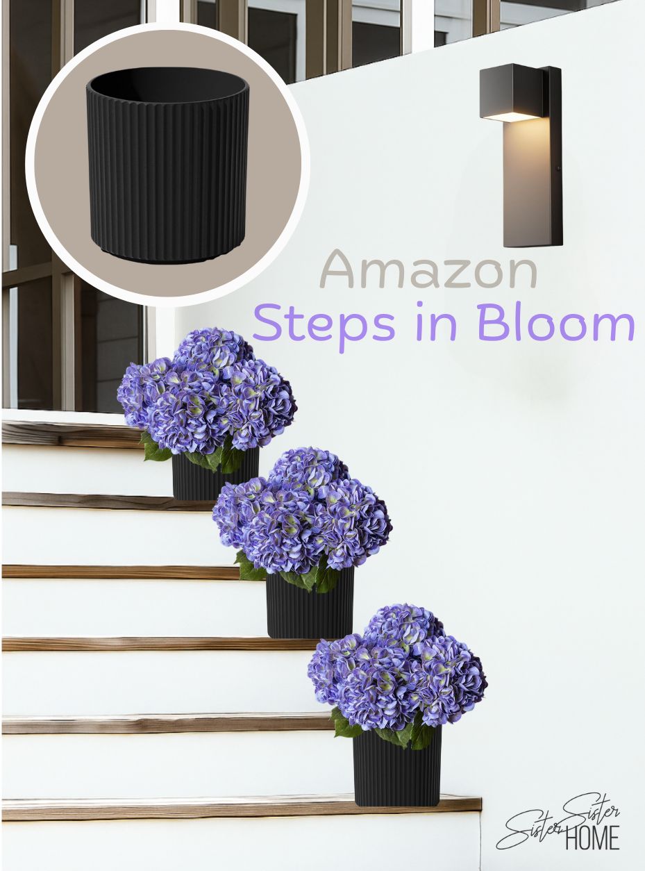 Amazon:  Steps in Bloom