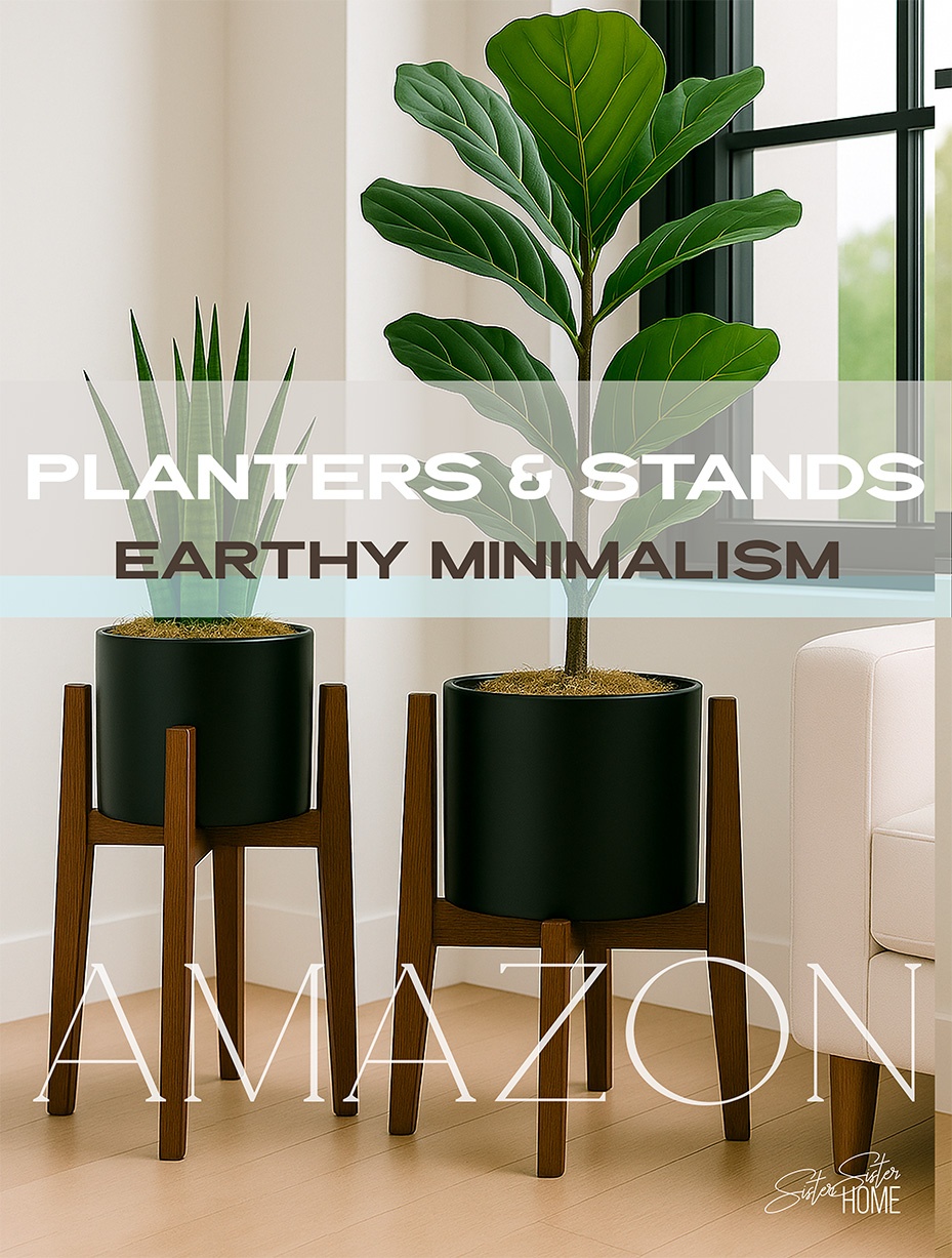 Two black matte planters with green indoor plants in mid-century wood stands beside a window in a minimal modern room.
