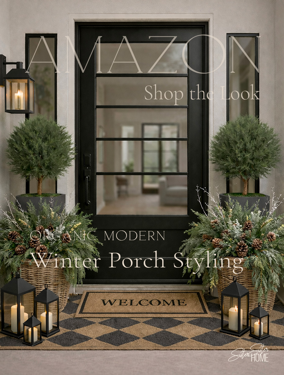 Winter Organic Modern Porch Styling