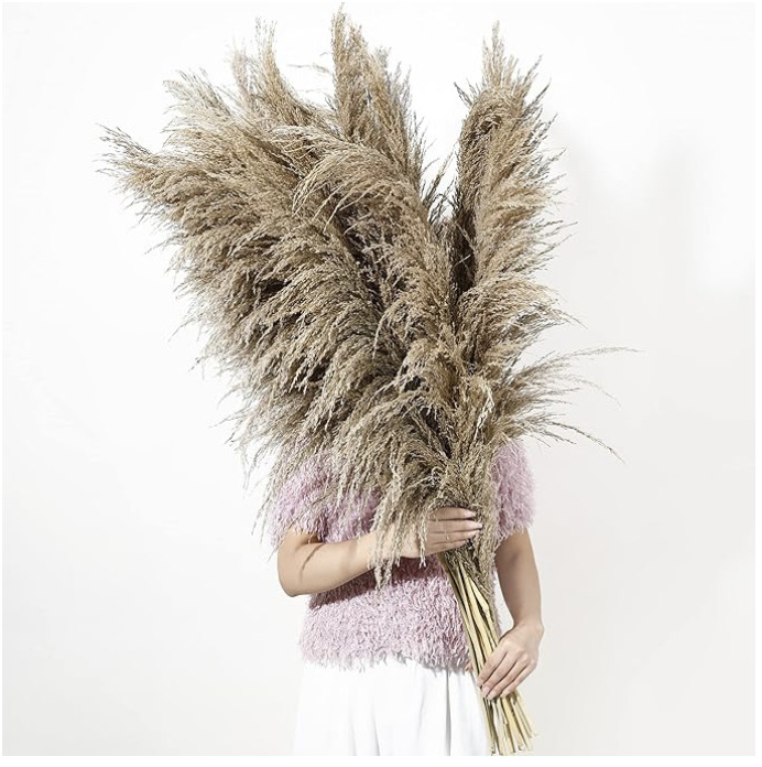 Tall dried pampas grass stems used as floor vase décor in an organic modern living room.
